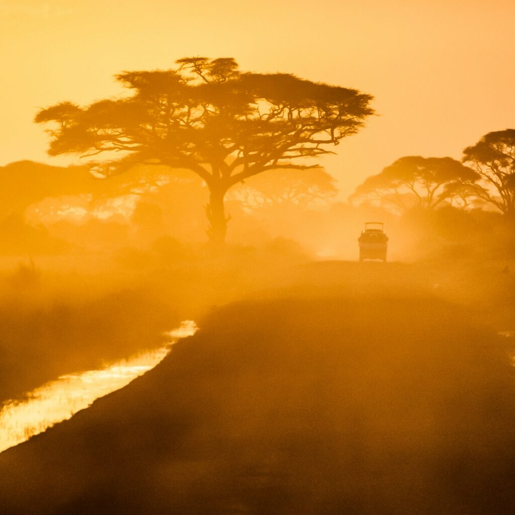 Is Kenya Safe? Shocking Truths Revealed for Adventure Seekers!