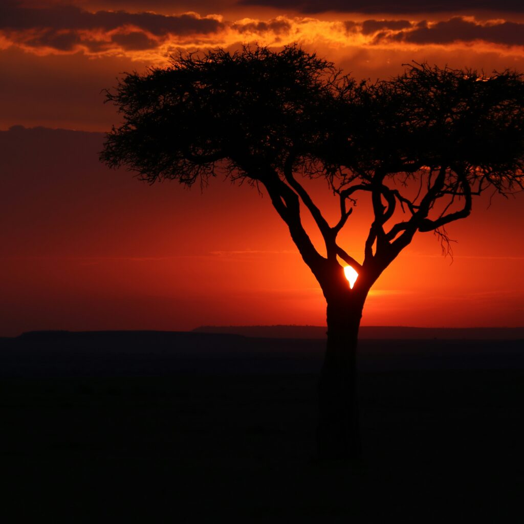 When to travel to Kenya: Finding the Perfect Season