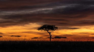 Maasai Mara Travel Guide